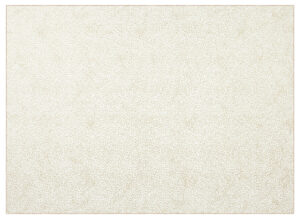 Gạch nhựa ốp tường PS-40