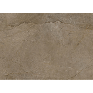 Tấm nhựa ốp tường SPC EM08