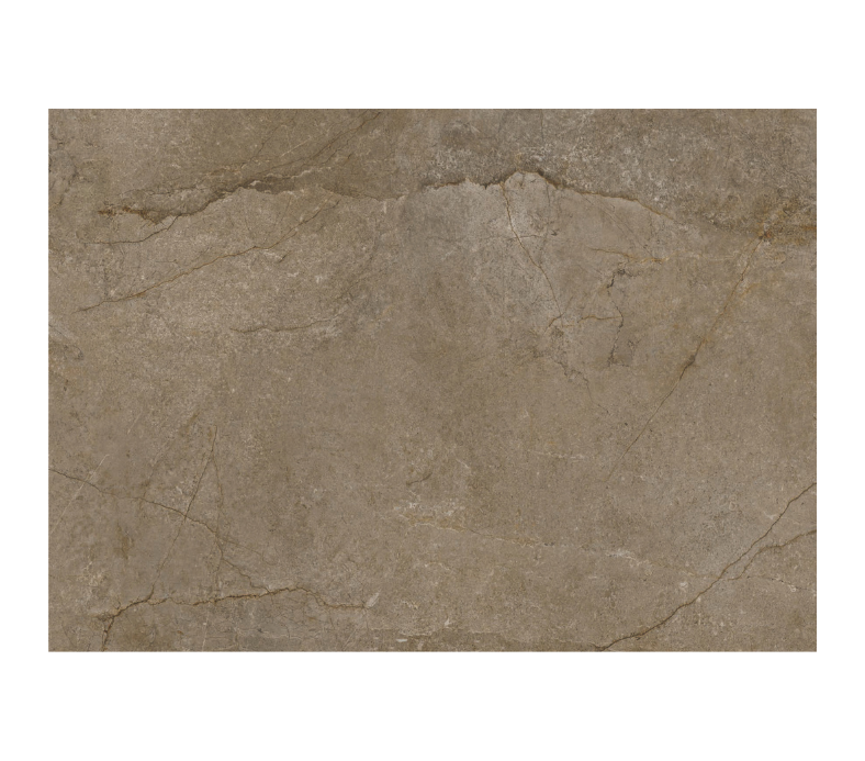 Tấm nhựa ốp tường SPC EM08