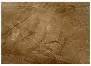 Tấm nhựa ốp tường SPC EM23