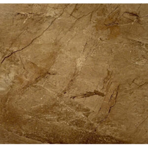 Tấm nhựa ốp tường SPC EM23