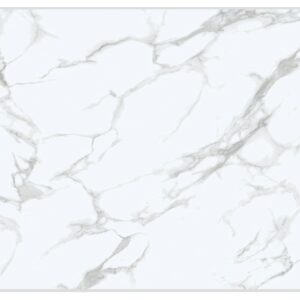 Tấm nhựa ốp tường SPC EM24