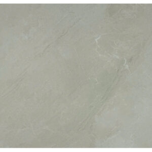 Tấm nhựa ốp tường SPC EM26