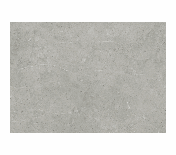 Tấm nhựa ốp tường SPC EM17