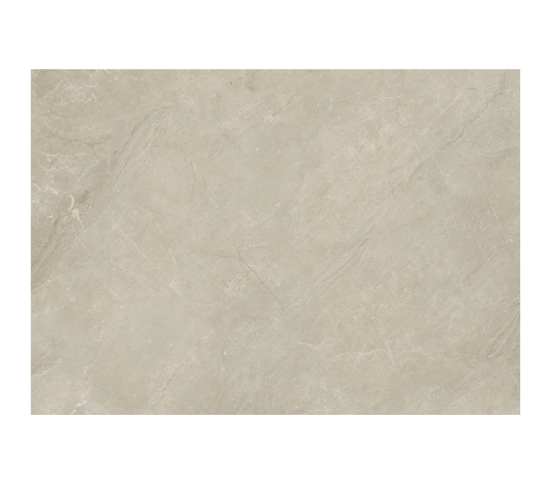 Tấm nhựa ốp tường SPC EM22