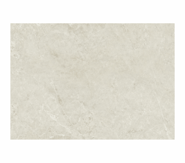 Tấm nhựa ốp tường SPC EM24