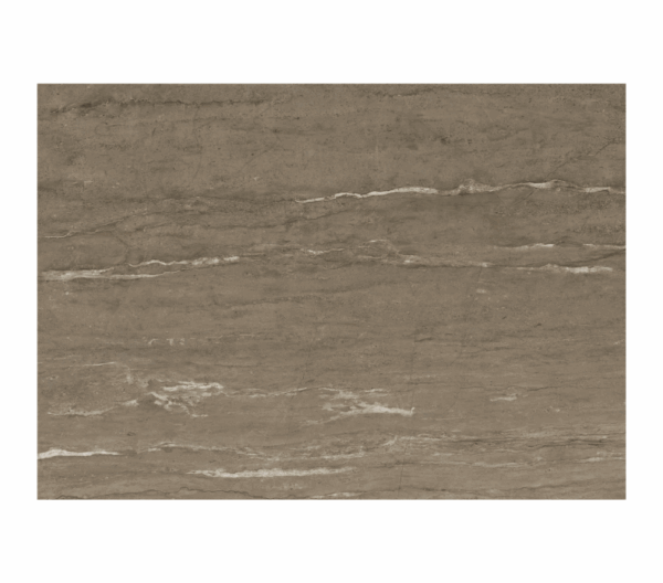 Tấm nhựa ốp tường SPC EM28
