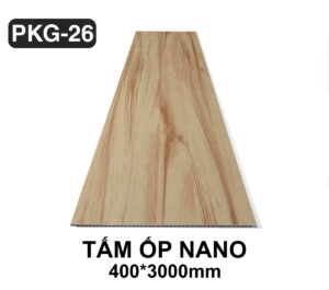 Tấm ốp nano PKG26