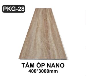Tấm ốp nano PKG28