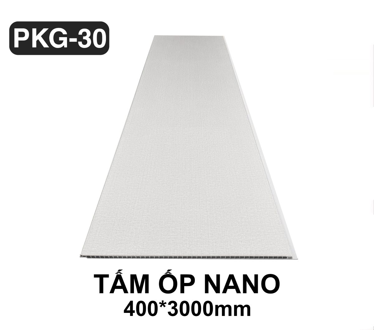 Tấm ốp nano PKG30